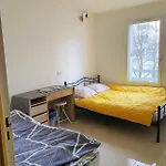 Ylt333